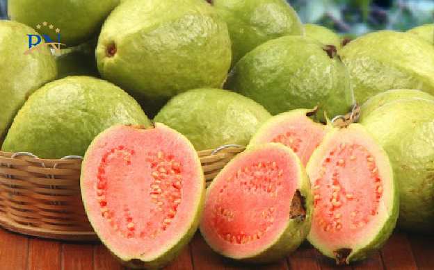 میوه گوآوا یا زیتون محلی بندرعباس